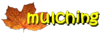 Mulching