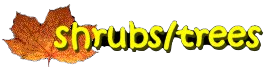 Shrubs & Trees